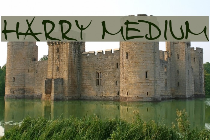 Harry Medium Font examples