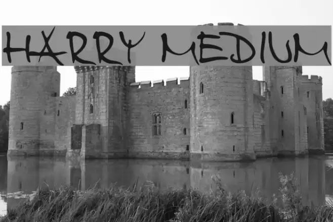 Harry Medium Fuentes examples