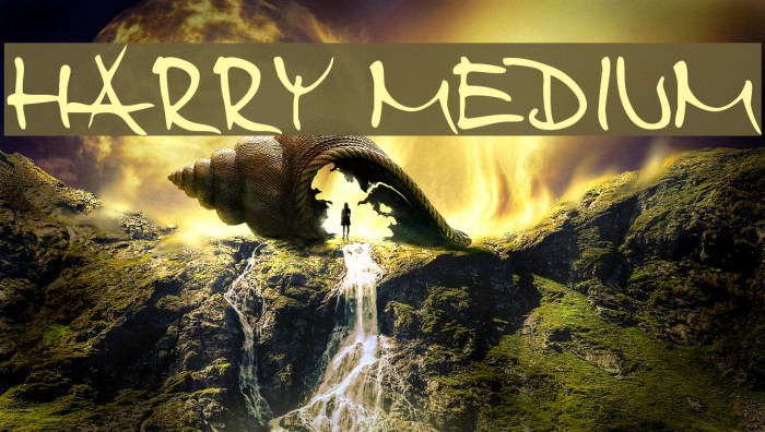 Harry Medium Font examples