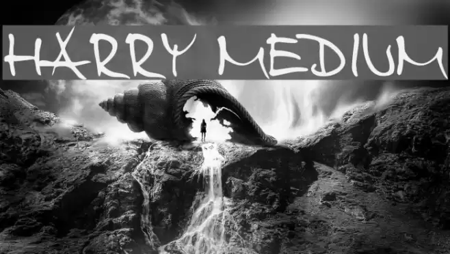 Harry Medium Fuentes examples