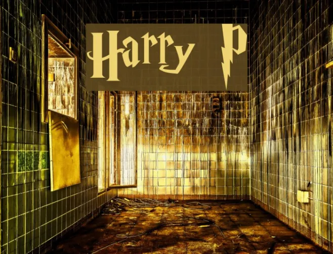 Harry P Example 1