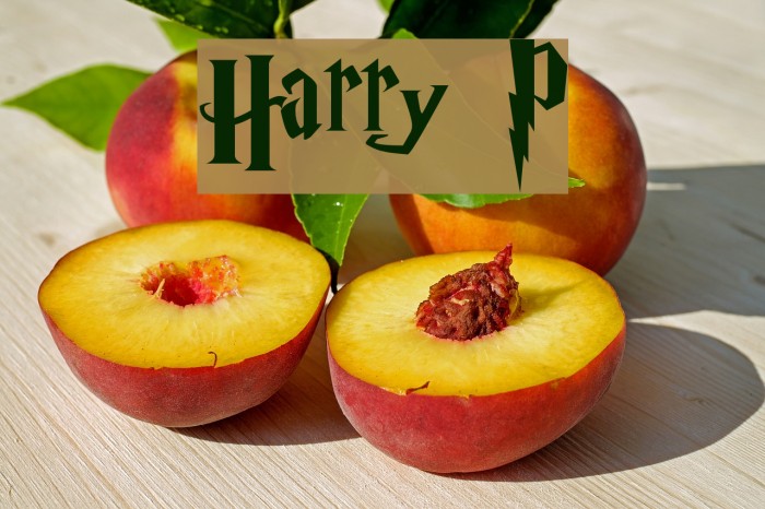 Harry P Fonte examples