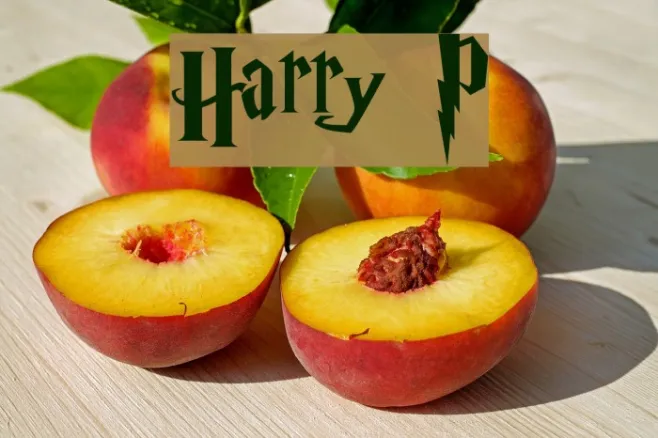 Harry P Example 3