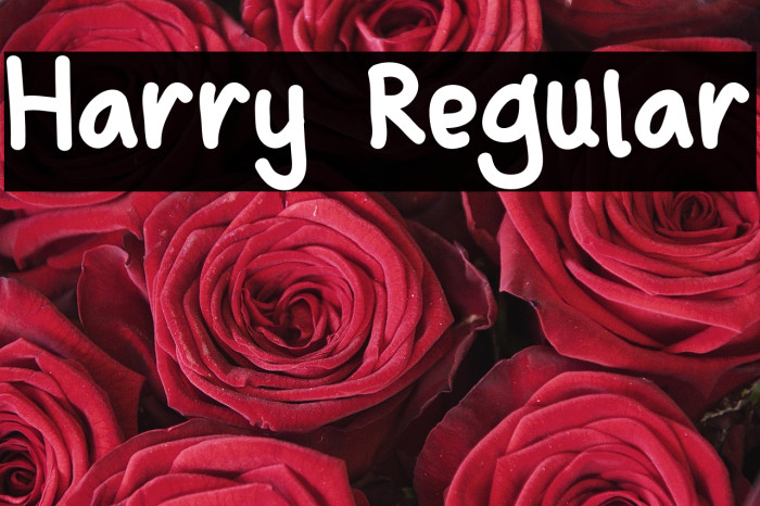 Harry Regular Example 1