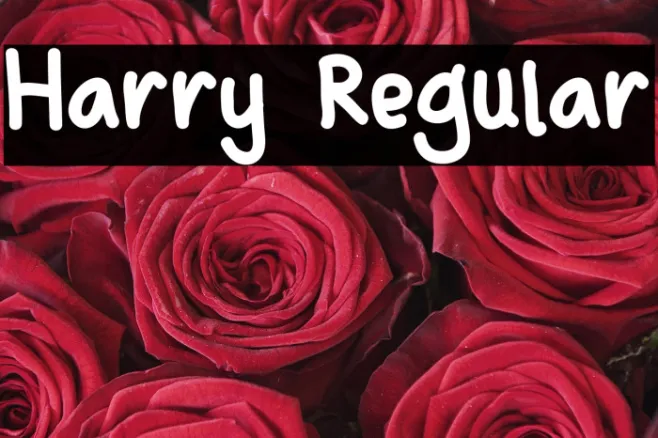 Harry Regular Example 1