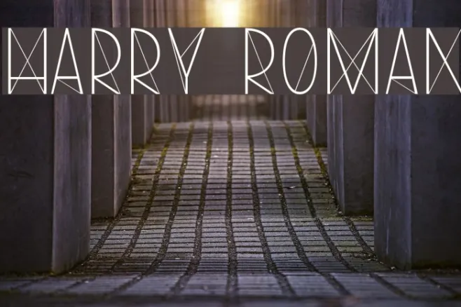 Harry Roman Example 1