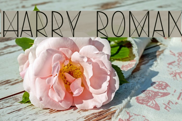 Harry Roman Font examples