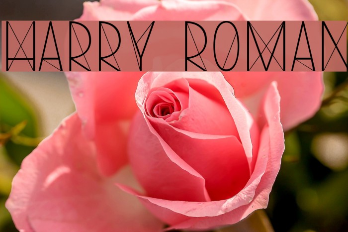 Harry Roman Font examples
