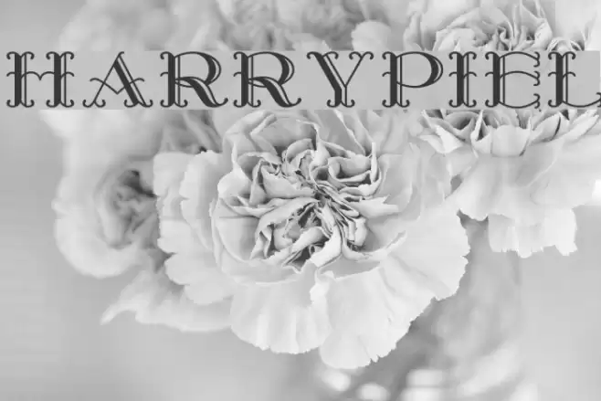 HarryPiel Font examples