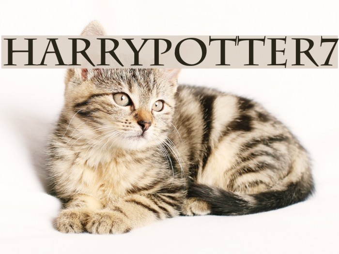 HarryPotter7 Font examples
