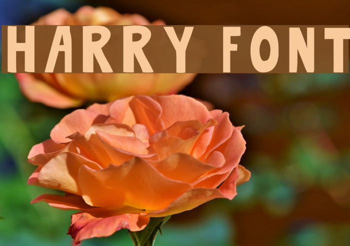 Harry Font examples