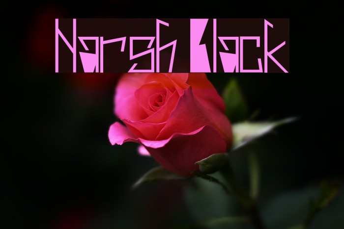 Harsh Black Font examples