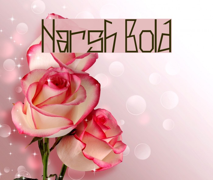 Harsh Bold Font examples