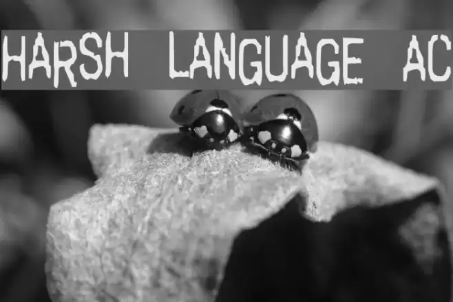 Harsh language AC Fonte examples