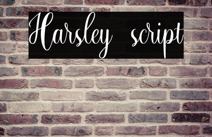 Harsley script Example 2