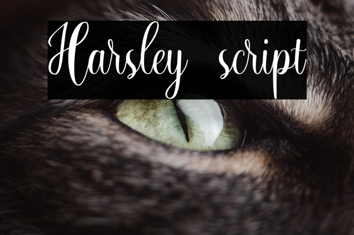 Harsley script Example 3