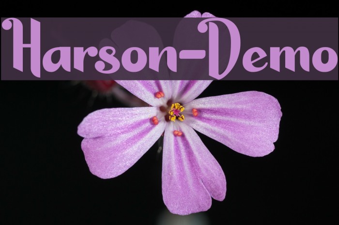 Harson-Demo Font examples