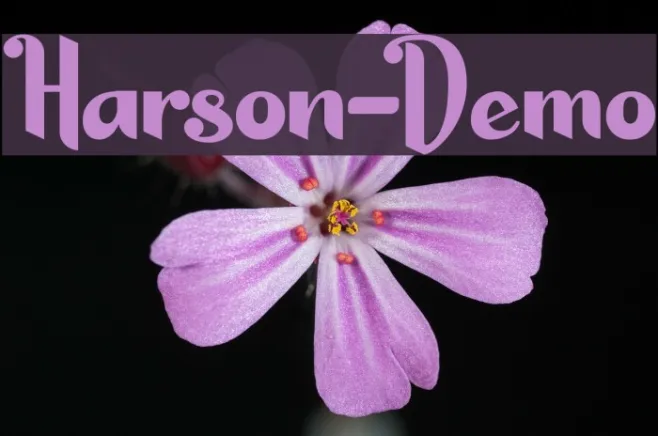 Harson-Demo Example 1