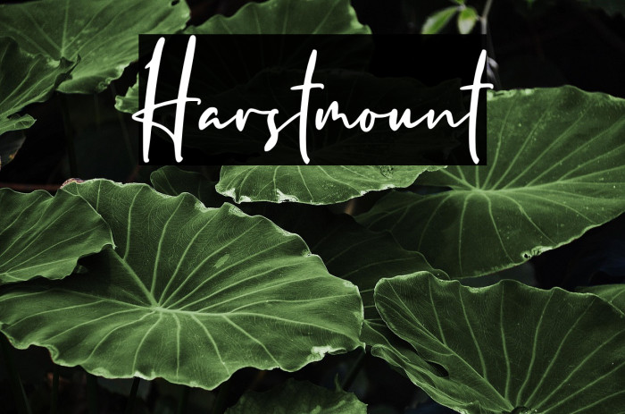 Harstmount Example 1