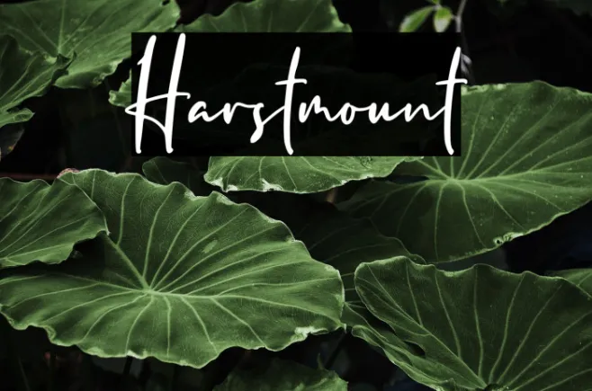 Harstmount Example 1