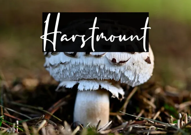 Harstmount Example 3