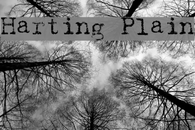 Harting Plain Font examples