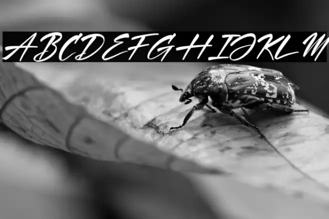 Hartman & Richard Italic Font examples