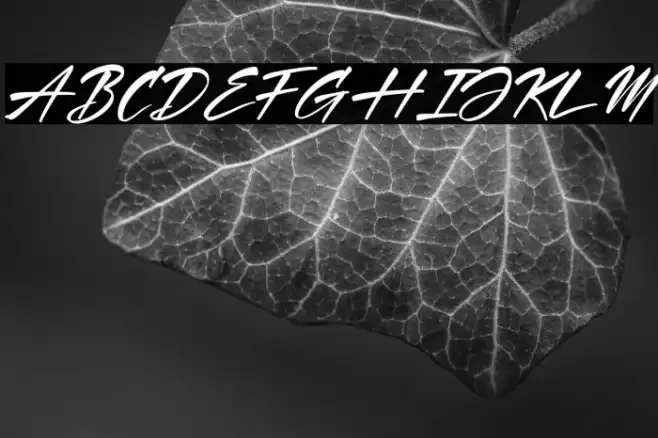 Hartman & Richard Italic Font examples