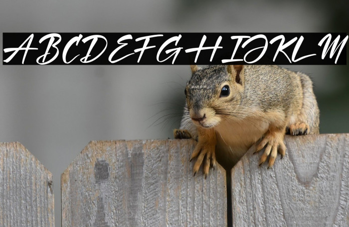 Hartman & Richard Example 2