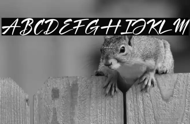 Hartman & Richard Font examples