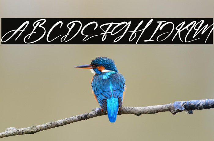 Hartman Smith Italic Example 3