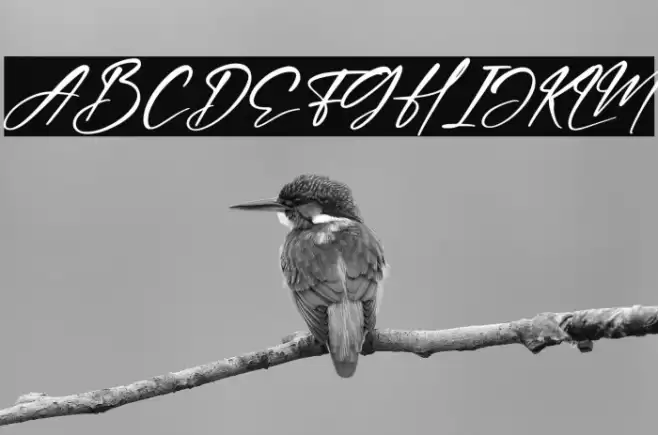 Hartman Smith Italic Font examples