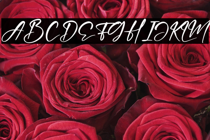 Hartman Smith Example 1