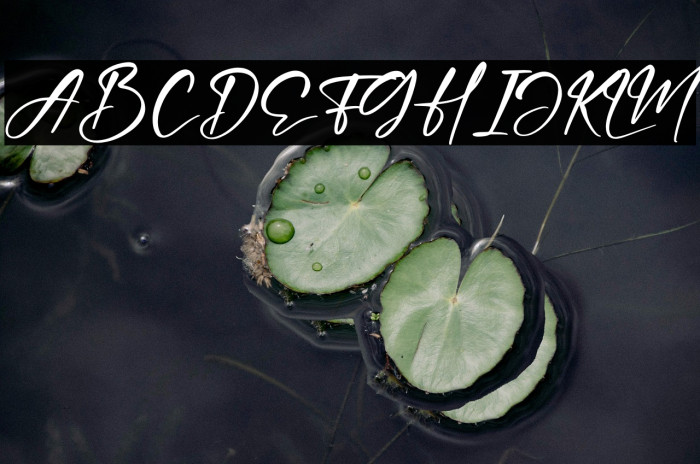 Hartman Smith Example 2