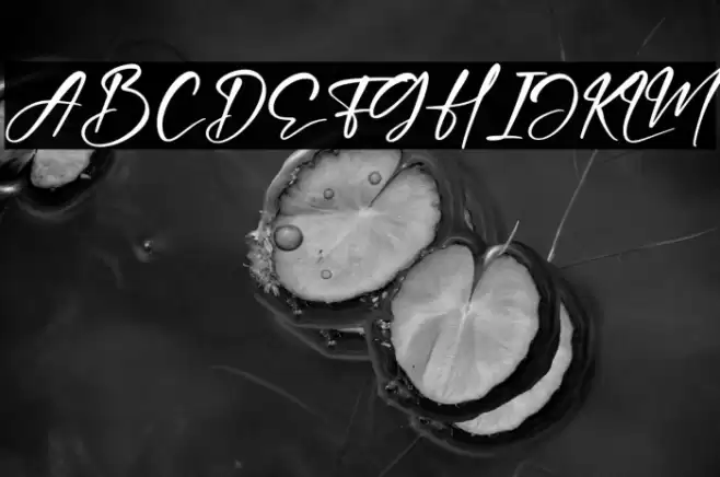 Hartman Smith Font examples