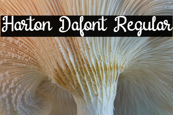Harton Dafont Regular Example 3