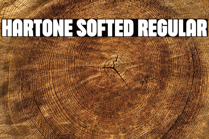 Hartone Softed Regular Example 2