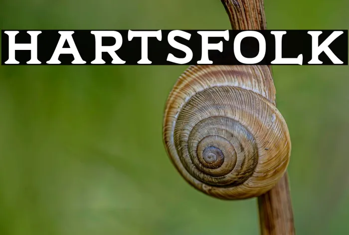 Hartsfolk Example 1