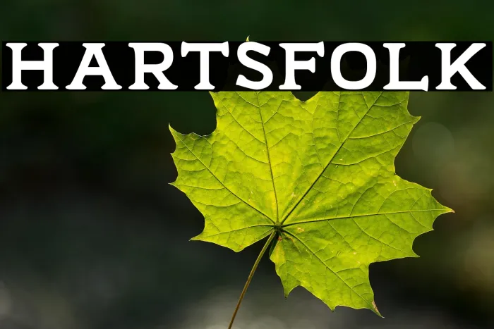 Hartsfolk Example 2