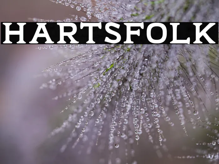 Hartsfolk Example 3