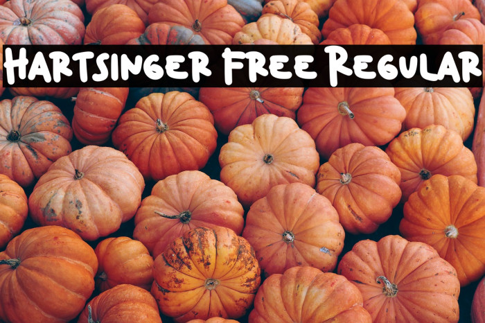 Hartsinger Free Regular Example 2