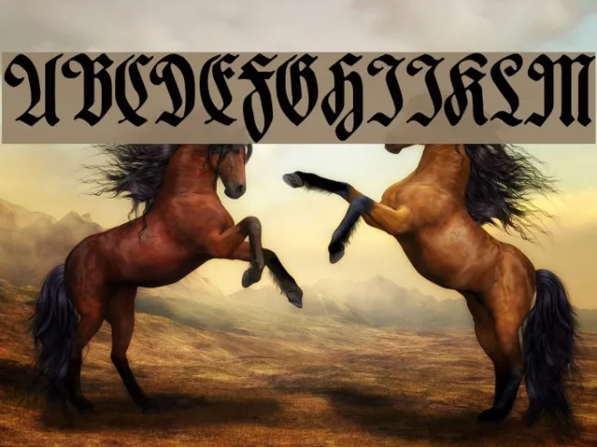 Hartwig-Schrift Example 1