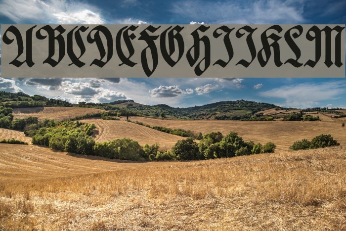 Hartwig-Schrift Font examples