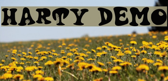 Harty Demo Font examples