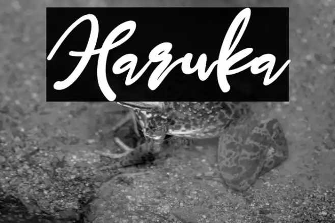 Haruka Font examples