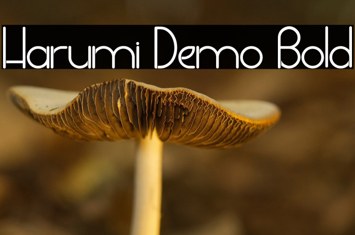 Harumi Demo Bold Example 1