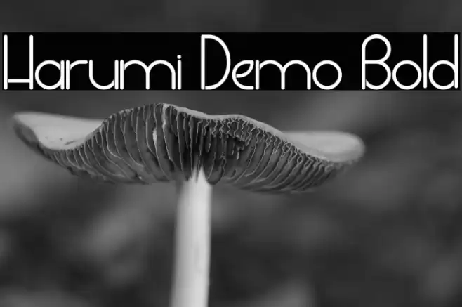 Harumi Demo Bold Font examples