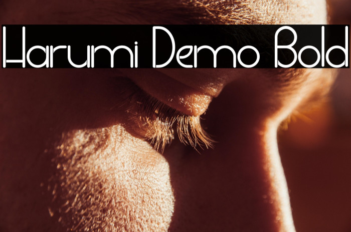 Harumi Demo Bold Example 2