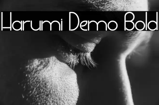 Harumi Demo Bold Font examples