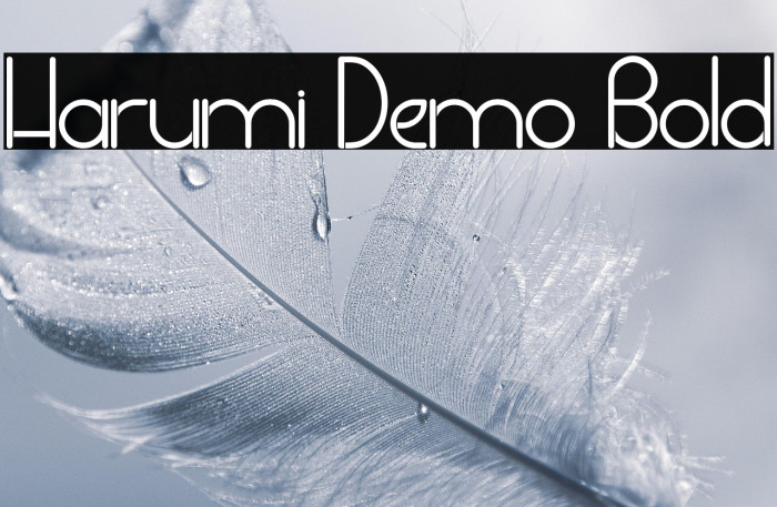 Harumi Demo Bold Example 3